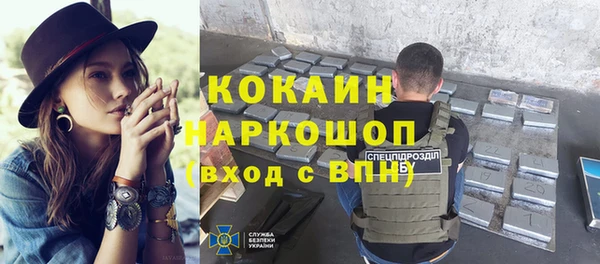 шишки Строитель