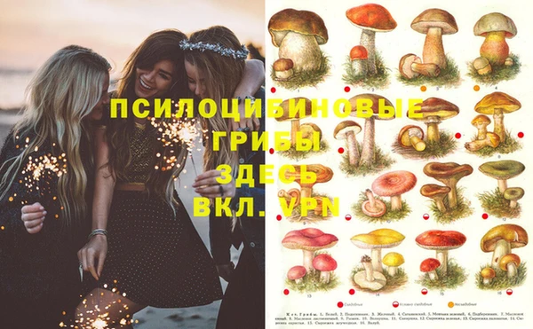 шишки Строитель