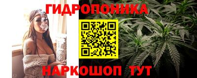 ПСИЛОЦИБИНОВЫЕ ГРИБЫ Заволжье
