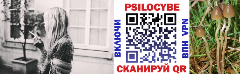 Галлюциногенные грибы прущие грибы  Буйнакск 