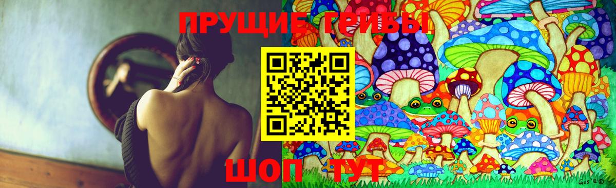 дарнет шоп  Вход с VPN  Буйнакск  Псилоцибиновые грибы мицелий 