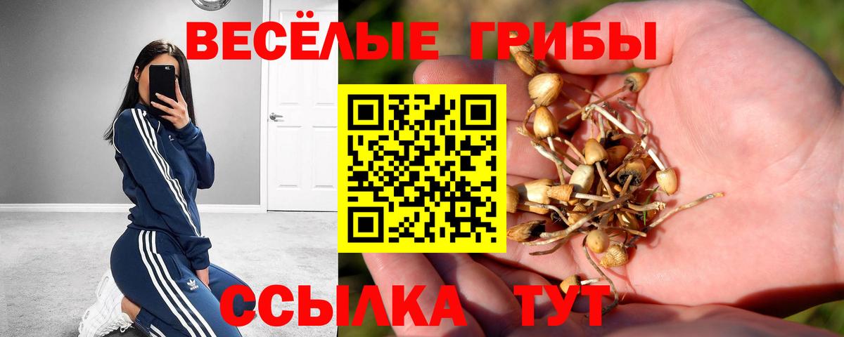 Псилоцибиновые грибы мухоморы Буйнакск