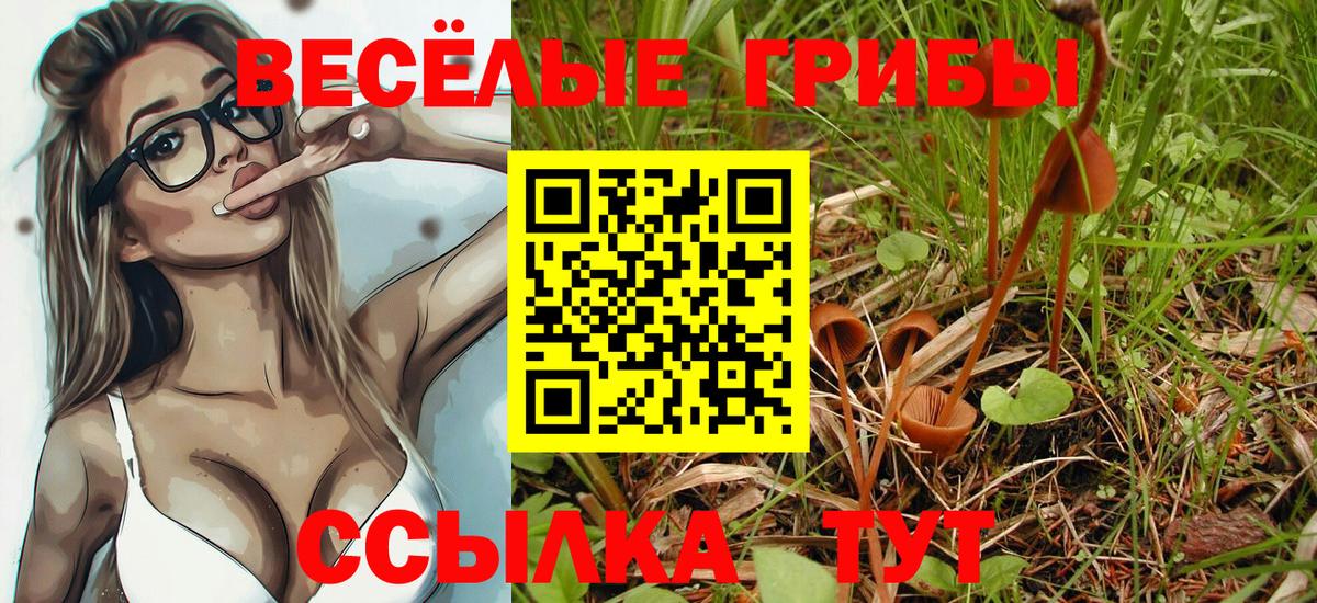 Cocaine  Буйнакск  Вход с VPN  МДМА  Масло THC  МЕФ  Гарик 